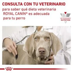 Royal Canin Veterinary Canine Anallergenic Pienso Para Perros -Paws Tienda rc vet dry dogana cv eretailkit 6 es es 5