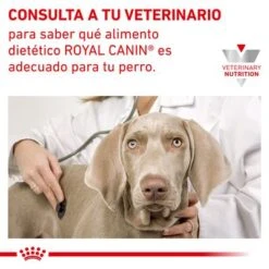 Royal Canin Veterinary Canine Anallergenic Small Dog Pienso Para Perros -Paws Tienda rc vet dry doganasd cv eretailkit 6 es es 3