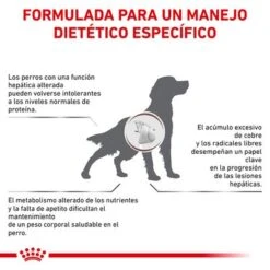 Royal Canin Veterinary Canine Hepatic HF 16 Pienso Para Perros -Paws Tienda rc vet dry doggastrohep cv eretailkit 2 es es 7