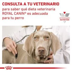 Royal Canin Veterinary Canine Gastrointestinal Mousse -Paws Tienda rc vet wet doggastro400g cv eretailkit 7 es es 9