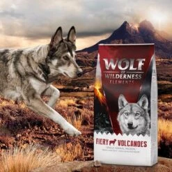 Pack Ahorro: 2 X 12 Wolf Of Wilderness Elements -Paws Tienda wow elements fieryvolcanoes 12kg 3