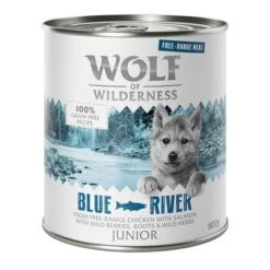 Wolf Of Wilderness Free Range Junior 6 X 800 G -Paws Tienda wow freerange junior blueriver 800g 1000x1000 1 3