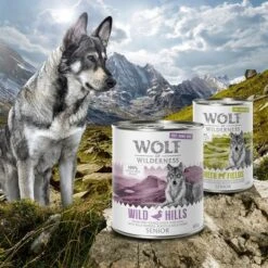 Wolf Of Wilderness Free Range Senior 6 X 800 G -Paws Tienda zop 21 048 wow nafu senior 800g 400g moodv2 6